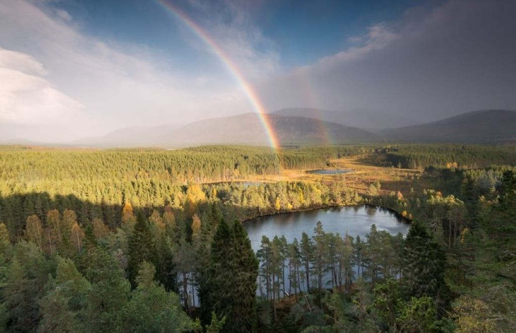 Supporting the Cairngorms Trust
