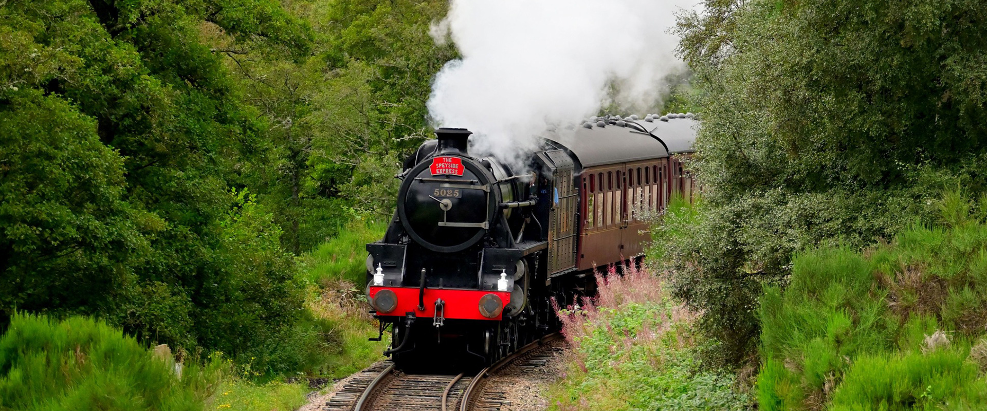 Train